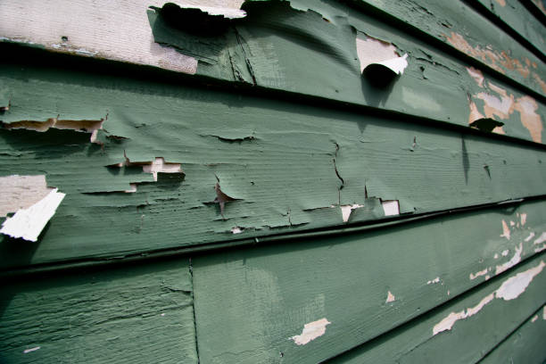 Siding for Multi-Family Homes in Blackstone, VA